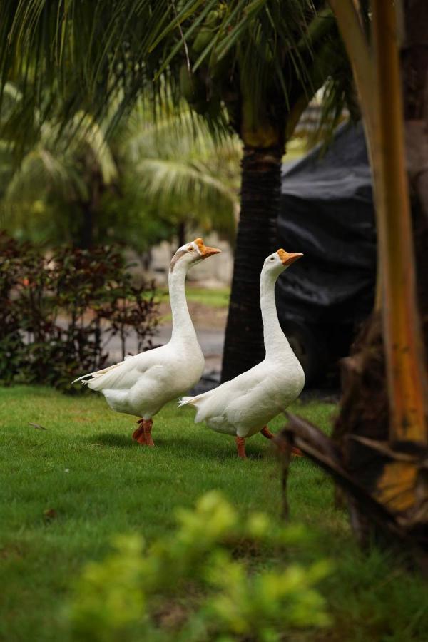 Shenwa The Kerala Village, Shahapur المظهر الخارجي الصورة